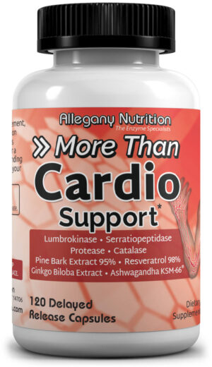 Allegany Cardio Support
